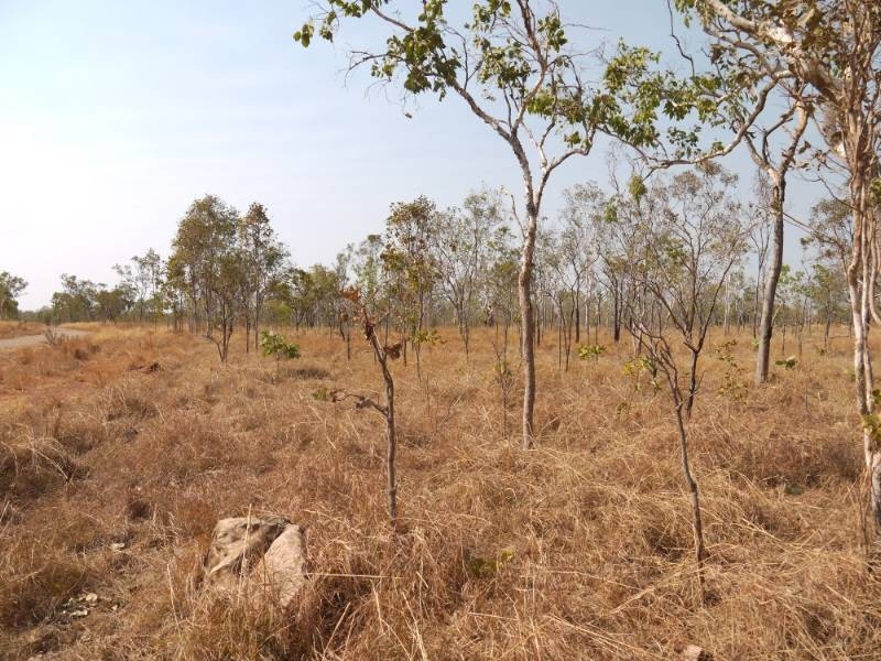 1225 Edith Farms Road, Katherine NT 0850