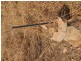 1225 Edith Farms Road, Katherine NT 0850