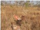 1225 Edith Farms Road, Katherine NT 0850