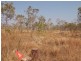 1225 Edith Farms Road, Katherine NT 0850