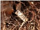 1225 Edith Farms Road, Katherine NT 0850