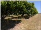 335 Napier Road, Katherine NT 0850