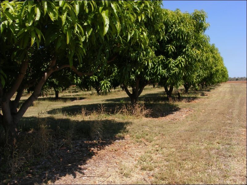 335 Napier Road, Katherine NT 0850
