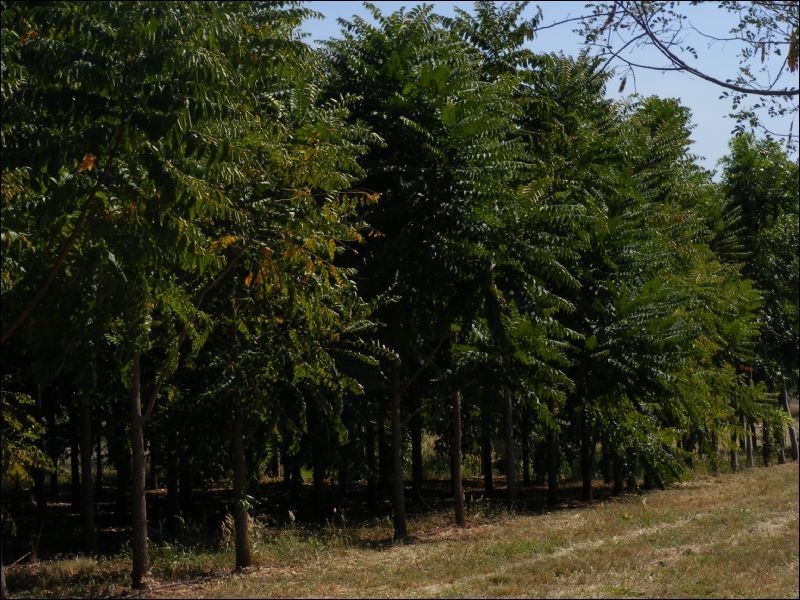 335 Napier Road, Katherine NT 0850