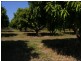 335 Napier Road, Katherine NT 0850