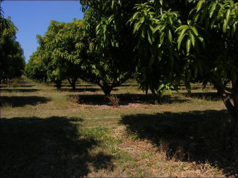 335 Napier Road, Katherine NT 0850