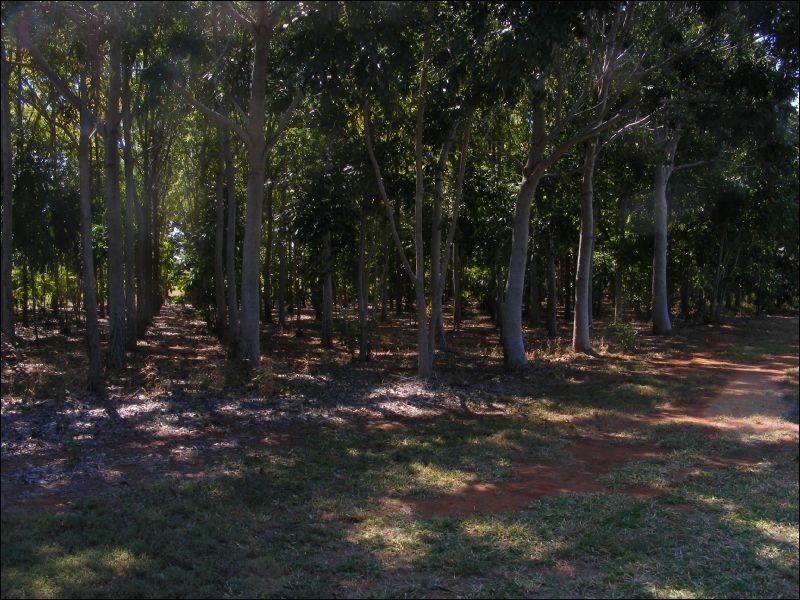 335 Napier Road, Katherine NT 0850