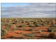Frome Downs  170km North of Yunta, Adelaide SA 5000