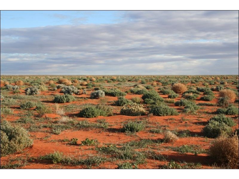 Frome Downs  170km North of Yunta, Adelaide SA 5000