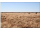 Frome Downs  170km North of Yunta, Adelaide SA 5000