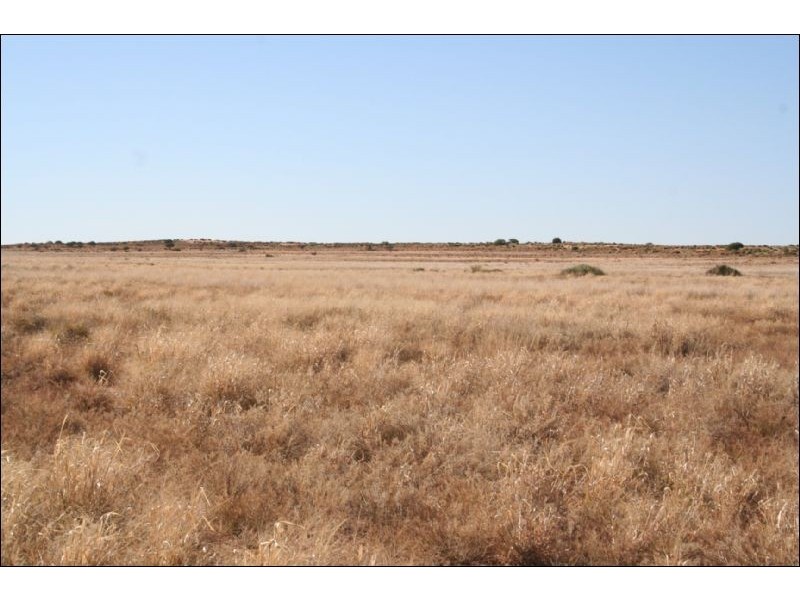 Frome Downs  170km North of Yunta, Adelaide SA 5000