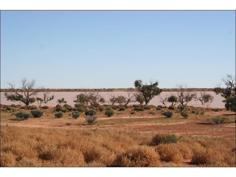 Frome Downs  170km North of Yunta, Adelaide SA 5000