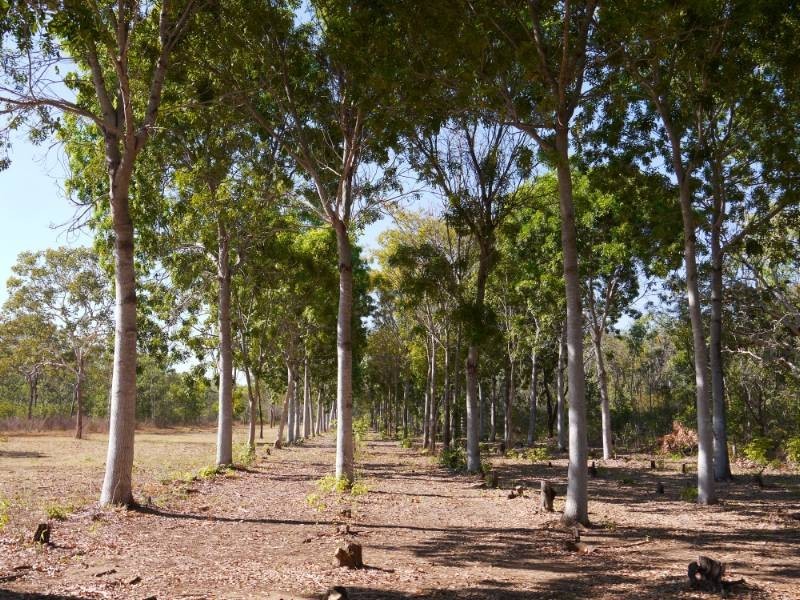 NTP 2299 Florina Road, Katherine NT 0850