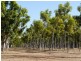 NTP 2299 Florina Road, Katherine NT 0850