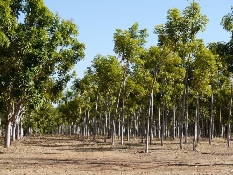 NTP 2299 Florina Road, Katherine NT 0850
