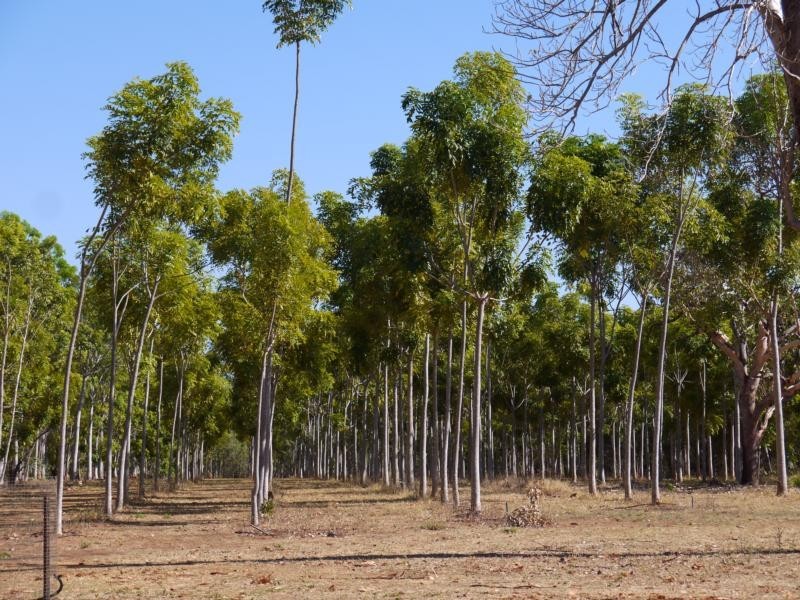 NTP 2299 Florina Road, Katherine NT 0850