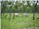 875 Beasley Road, Katherine NT 0850