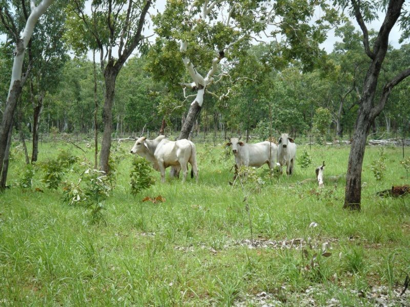 875 Beasley Road, Katherine NT 0850