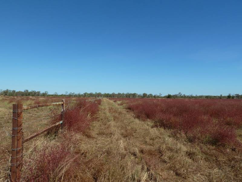 55 McAdam Road, Katherine NT 0850