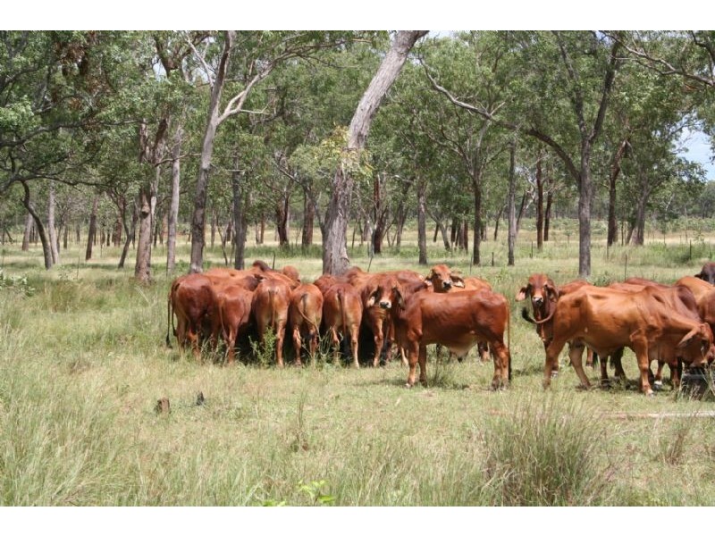 NTP 6980/6981 Stuart Highway, Katherine NT 0850