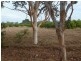 2 Cummings Road, Katherine NT 0850