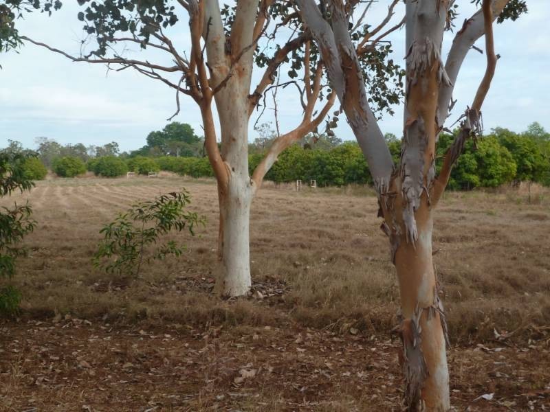 2 Cummings Road, Katherine NT 0850