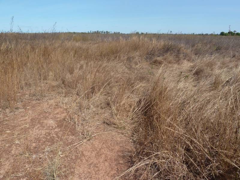 545 Napier Road, Katherine NT 0850