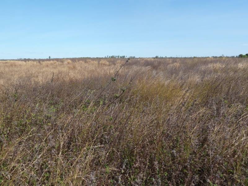 545 Napier Road, Katherine NT 0850