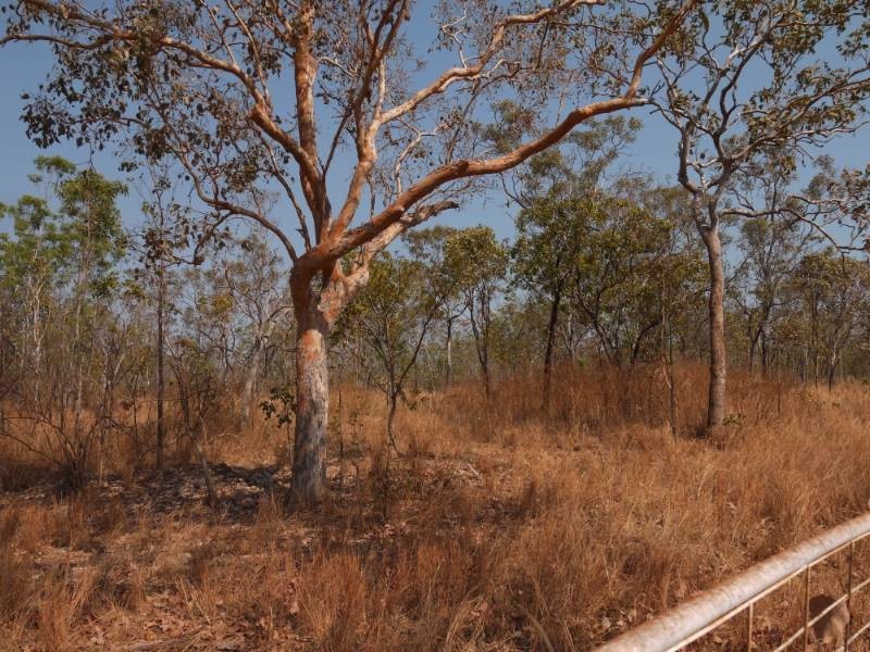 1061 Edith Farms Road, Katherine NT 0850