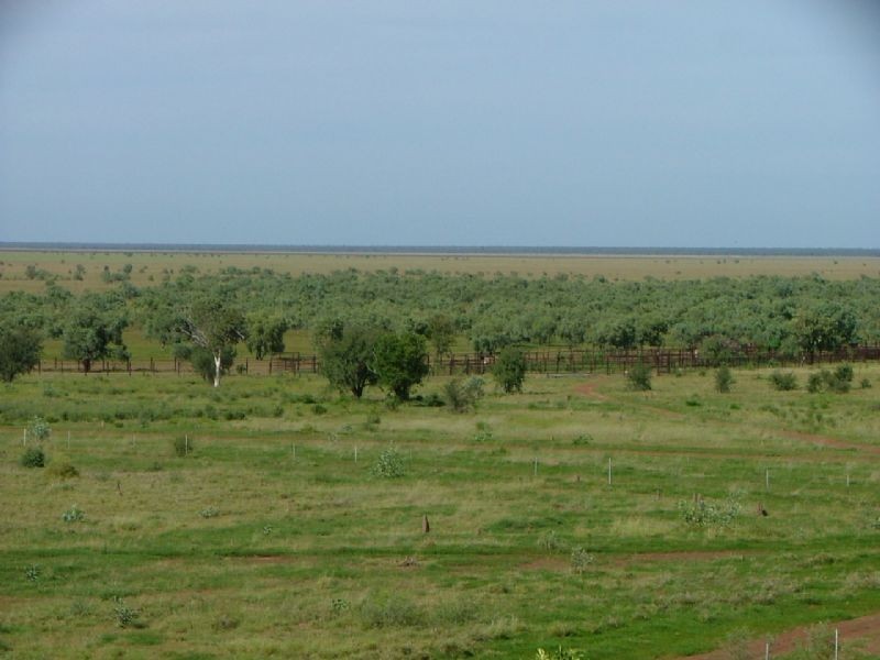 “MURRANJI” STATION, Elliott NT 0862