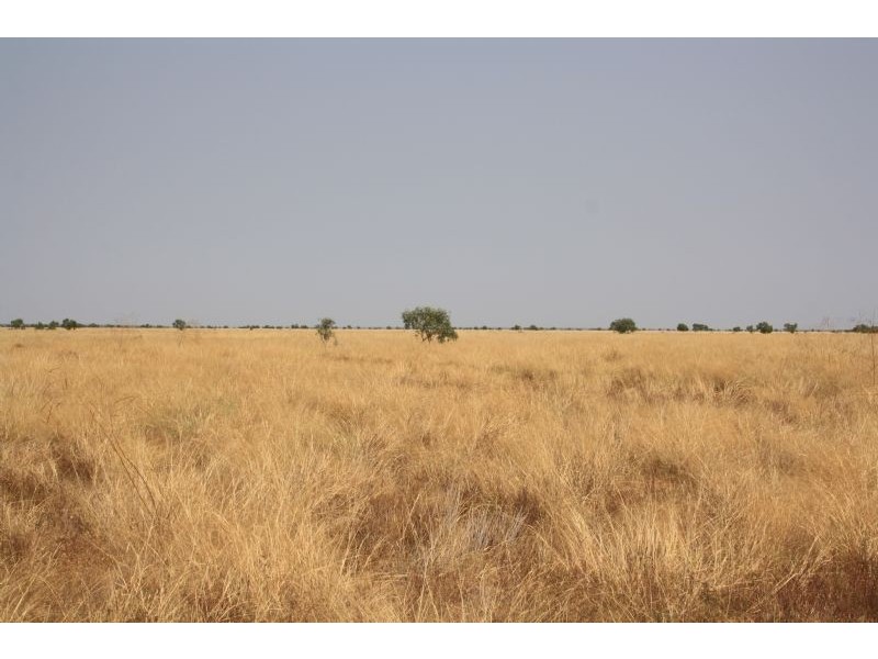 “MURRANJI” STATION, Elliott NT 0862
