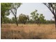 “MURRANJI” STATION, Elliott NT 0862