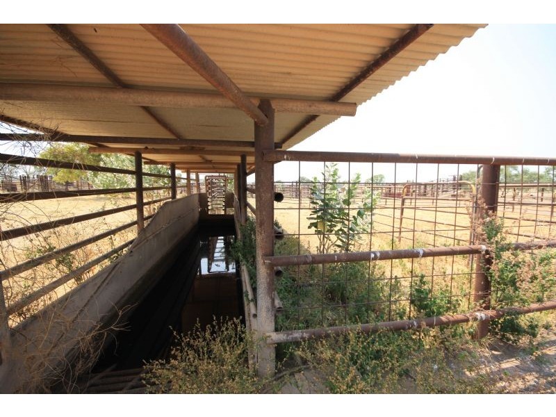 “MURRANJI” STATION, Elliott NT 0862