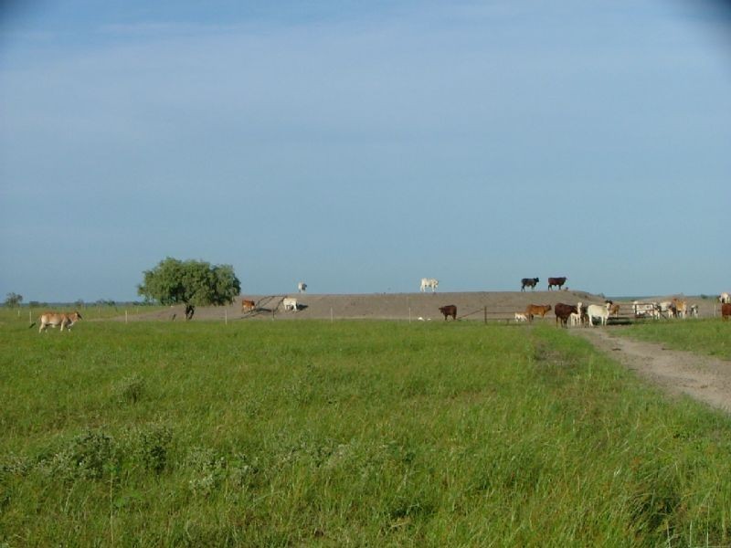 “MURRANJI” STATION, Elliott NT 0862
