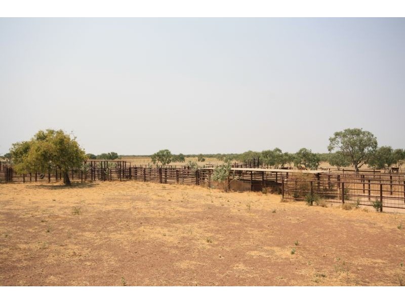 “MURRANJI” STATION, Elliott NT 0862