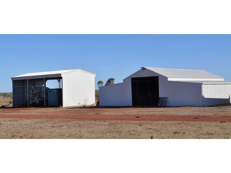 “MURRANJI” STATION, Elliott NT 0862