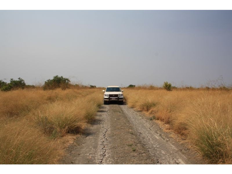 “MURRANJI” STATION, Elliott NT 0862