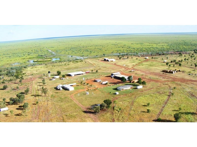 “MURRANJI” STATION, Elliott NT 0862