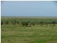 “MURRANJI” STATION, Elliott NT 0862