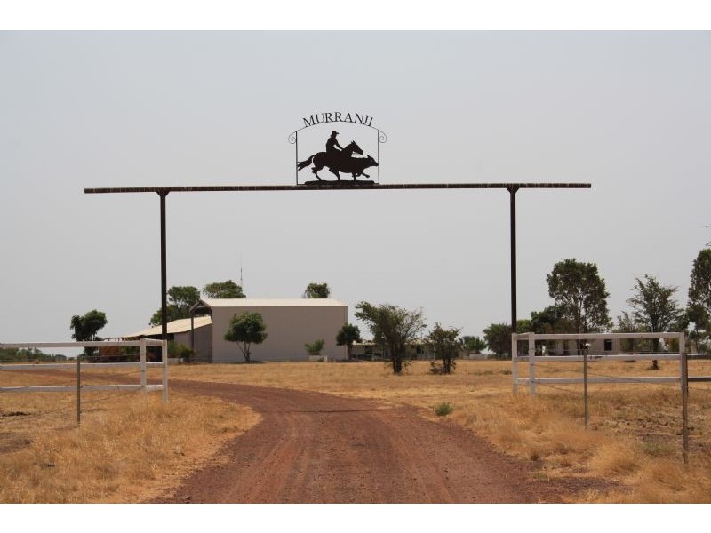 “MURRANJI” STATION, Elliott NT 0862