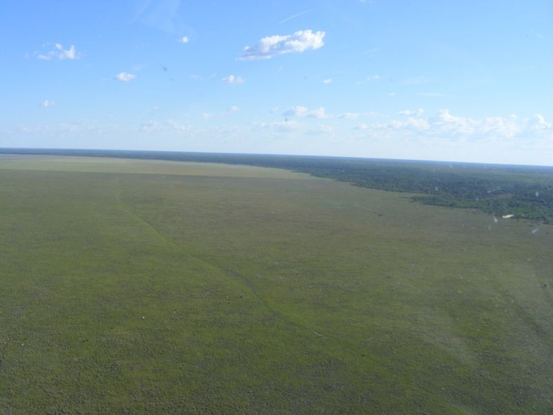 “MURRANJI” STATION, Elliott NT 0862