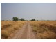 “MURRANJI” STATION, Elliott NT 0862