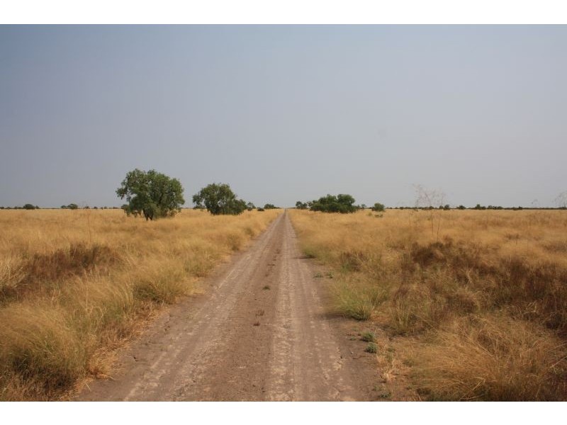 “MURRANJI” STATION, Elliott NT 0862