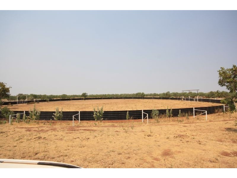 “MURRANJI” STATION, Elliott NT 0862