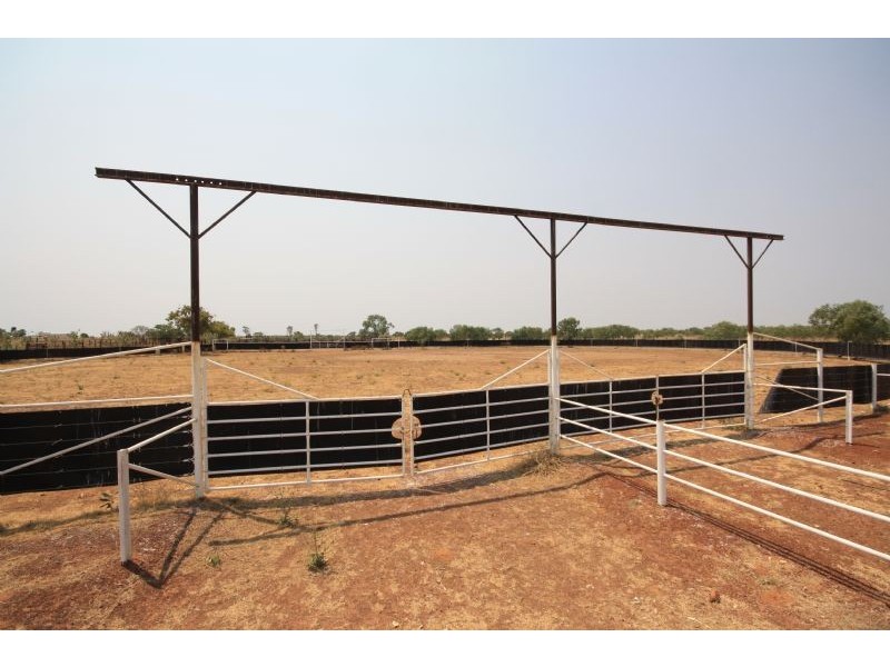 “MURRANJI” STATION, Elliott NT 0862