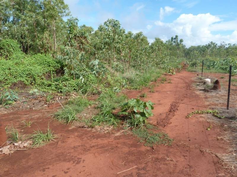 165 Lansdowne Road, Katherine NT 0850