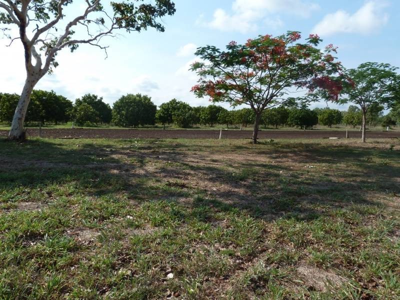 740 Florina Road, Katherine NT 0850