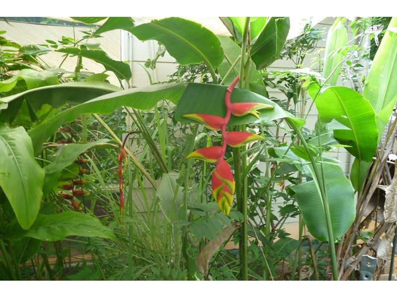 12 Forscutt, Katherine NT 0850