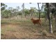 125 Hall Road, Katherine NT 0850