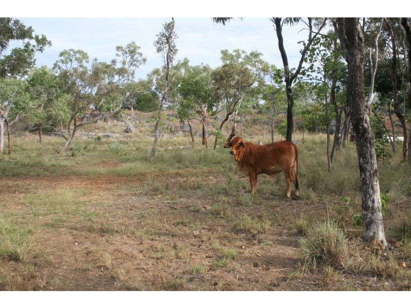 125 Hall Road, Katherine NT 0850
